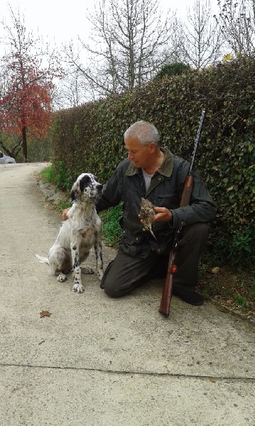 chasse bécasse 2015/2016